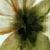 FLOWER/30